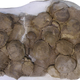 Nest with eggs of Mussaurus patagonicus.